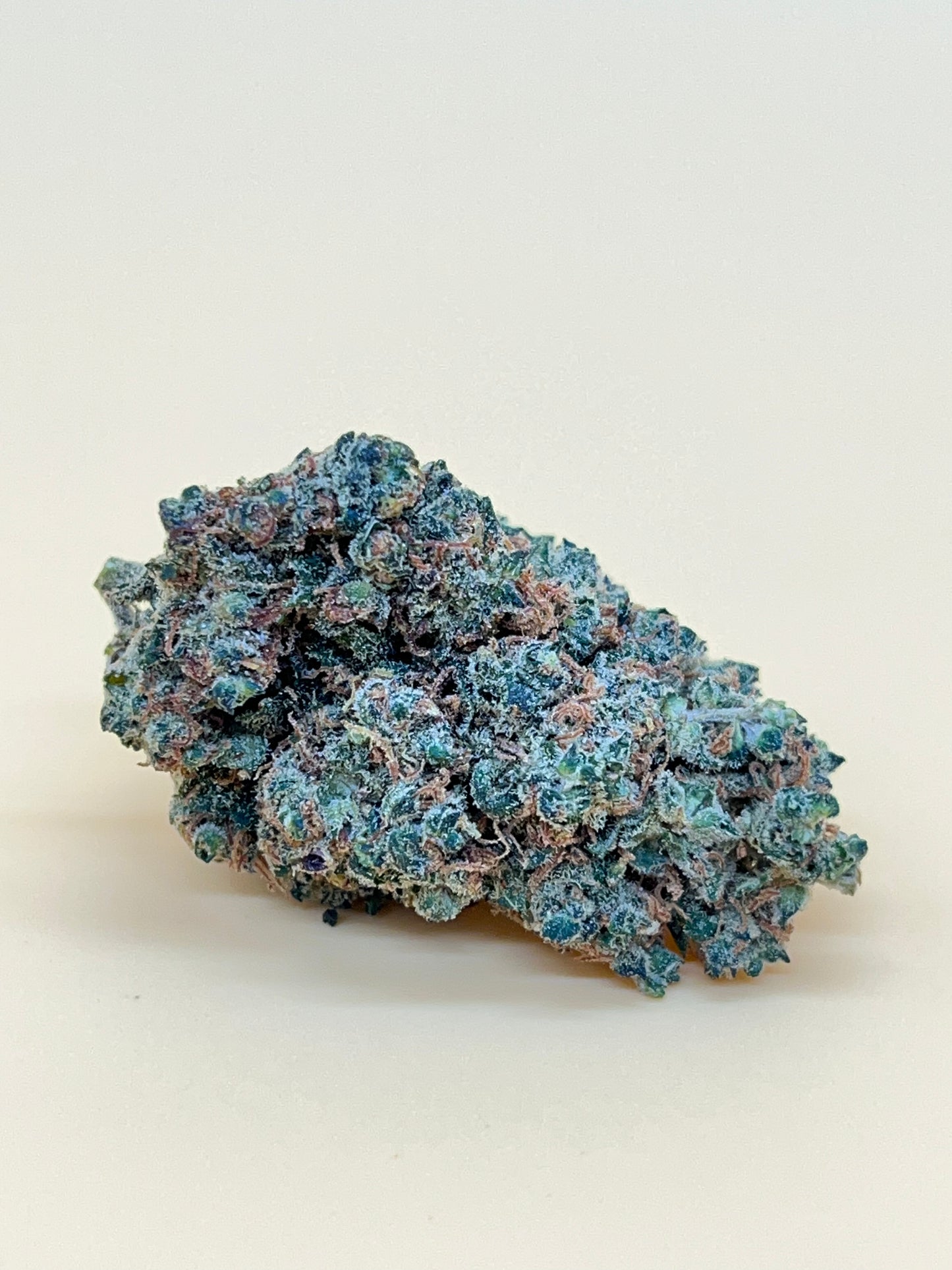 Area 51 CBG9