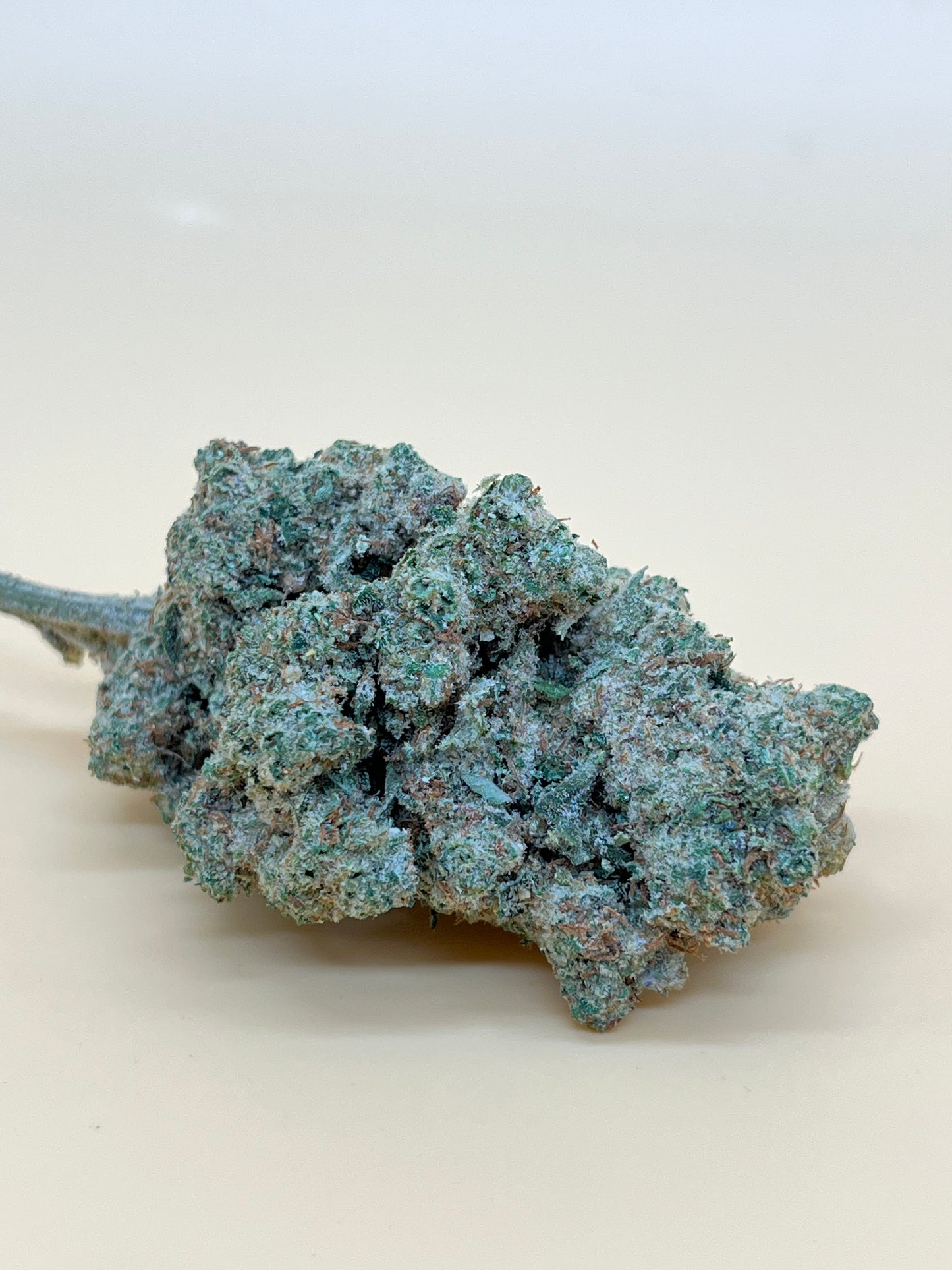 Weedy Wonka 10-OH+