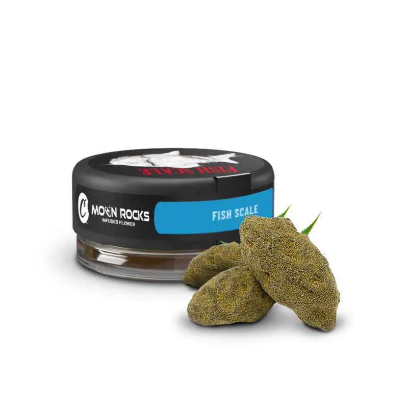 Cookies Fish Scale Moonrock Infused 2G