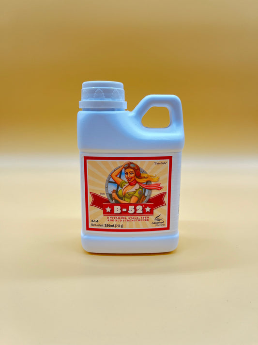 AN B-52 250 ml